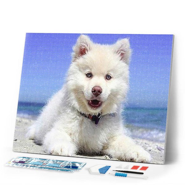 Diamond Painting | Diamond Painting - Dog on the Beach | animals Diamond Painting Animals dogs | FiguredArt