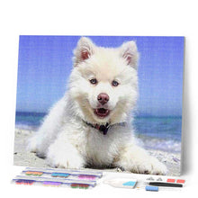Load image into Gallery viewer, Diamond Painting - Dog on the Beach