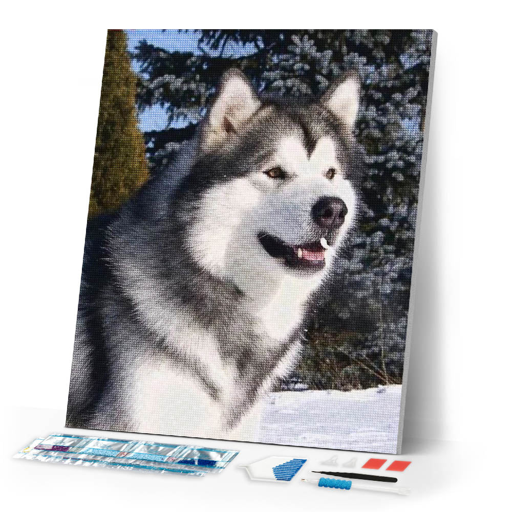 Diamond Painting | Diamond Painting - Husky in Winter | animals Diamond Painting Animals winter | FiguredArt