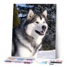 Load image into Gallery viewer, Diamond Painting - Husky in Winter