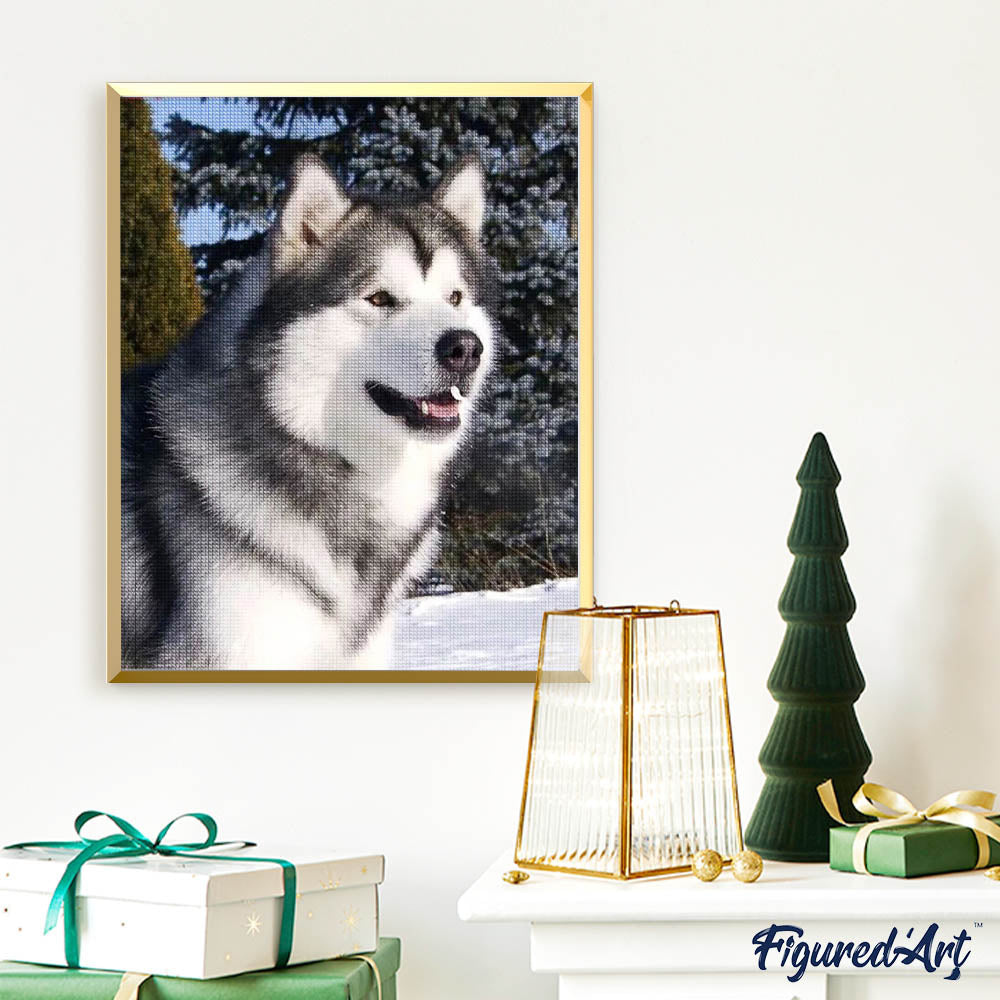 Diamond Painting - Husky in Winter
