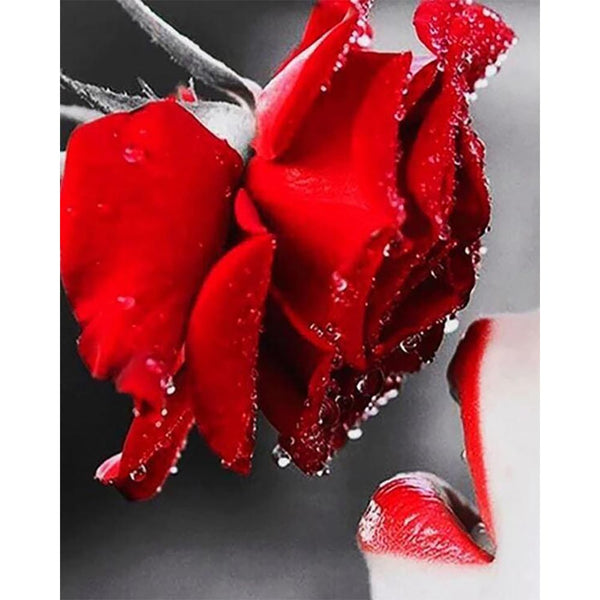 Diamond Painting - Red Rose and Lips