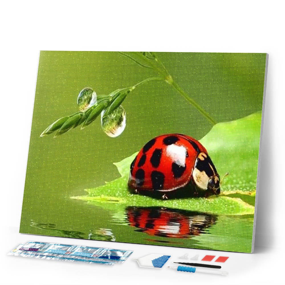Diamond Painting | Diamond Painting - Beetle | animals Diamond Painting Animals | FiguredArt