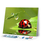 Diamond Painting | Diamond Painting - Beetle | animals Diamond Painting Animals | FiguredArt