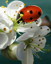 Load image into Gallery viewer, Diamond Painting | Diamond Painting - Ladybug and Flowers | animals Diamond Painting Animals flowers | FiguredArt