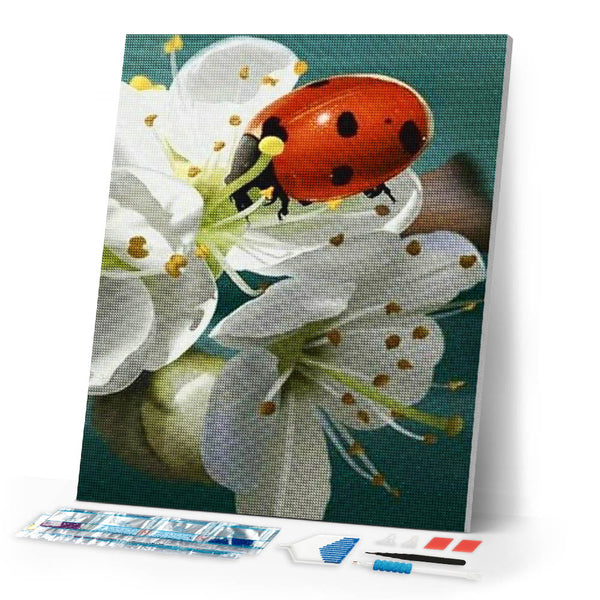 Diamond Painting | Diamond Painting - Ladybug and Flowers | animals Diamond Painting Animals flowers | FiguredArt