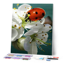 Load image into Gallery viewer, Diamond Painting - Ladybug and Flowers