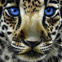 Load image into Gallery viewer, Diamond Painting | Diamond Painting - Leopard with Blue Eyes | animals Diamond Painting Animals leopards | FiguredArt