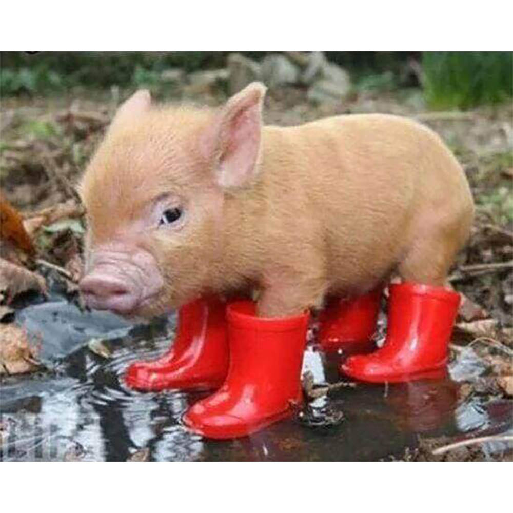 Diamond Painting - Piglet and red boots