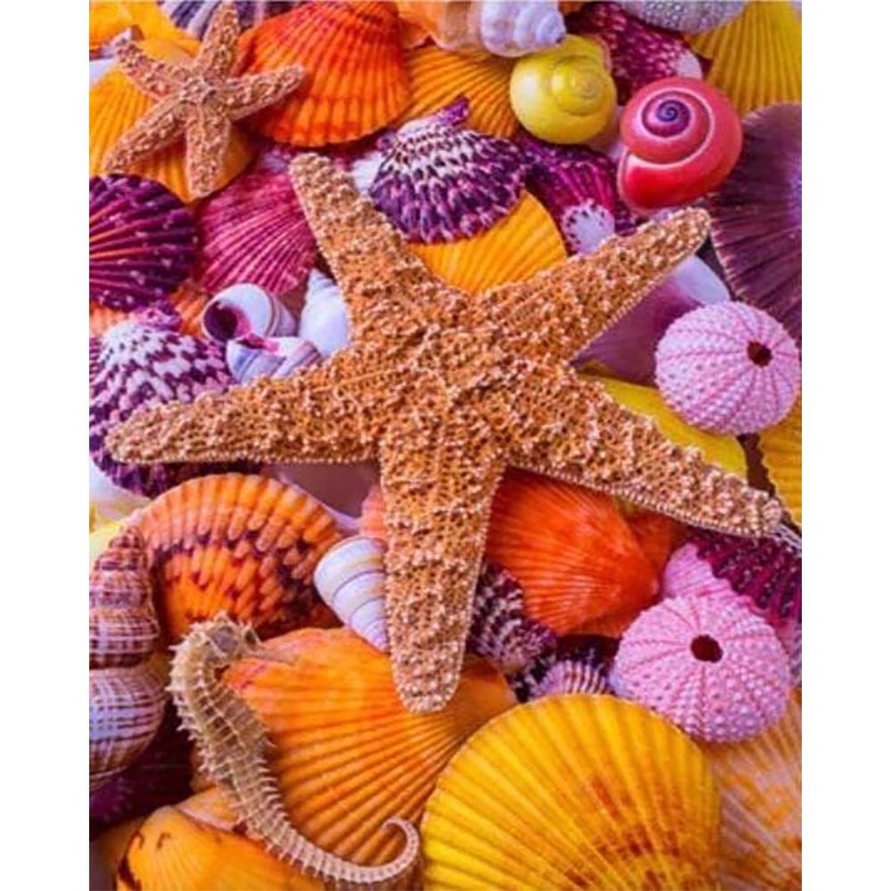Diamond Painting - Colorful Star and Sea Shells