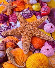 Load image into Gallery viewer, Diamond Painting | Diamond Painting - Colorful Star and Sea Shells | animals Diamond Painting Animals | FiguredArt