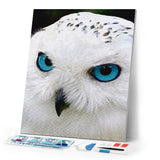Diamond Painting | Diamond Painting - Owl with Blue Eyes | animals Diamond Painting Animals | FiguredArt