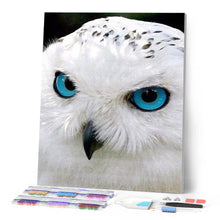 Load image into Gallery viewer, Diamond Painting - Owl with Blue Eyes
