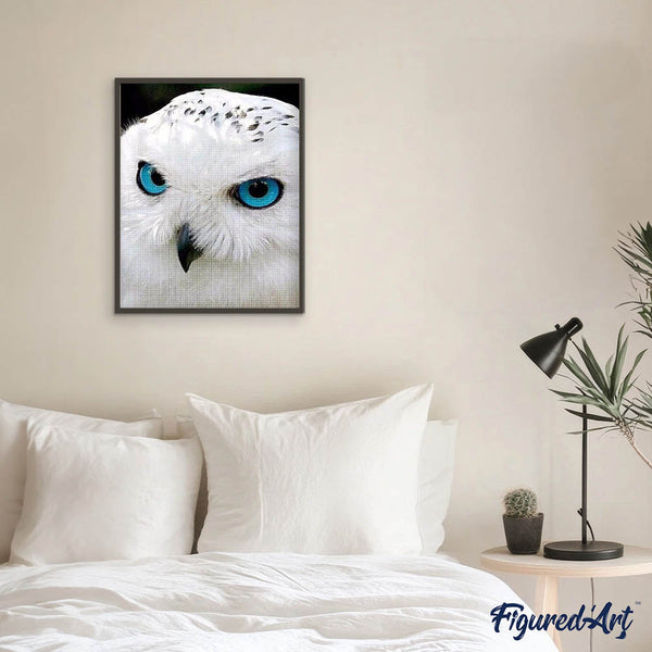 Diamond Painting - Owl with Blue Eyes