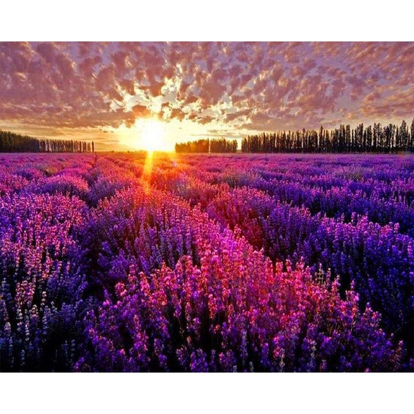 Diamond Painting - Lavender Field