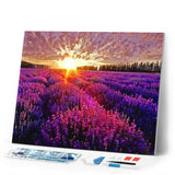 Diamond Painting - Lavender Field