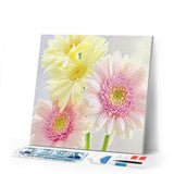 Diamond Painting | Diamond Painting - Daisies in Pastel Colors | Diamond Painting Flowers flowers | FiguredArt