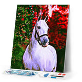 Diamond Painting - Horse and colorful background