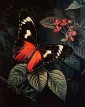 Load image into Gallery viewer, Diamond Painting - Moneta Longwing Butterfly and Foliage