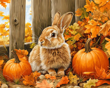 Load image into Gallery viewer, Diamond Painting - Bunny and Pumpkins