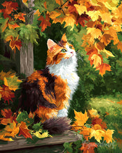 Load image into Gallery viewer, Diamond Painting - Calico Cat in Fall
