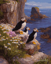 Load image into Gallery viewer, Diamond Painting - Puffin sunset cliffs