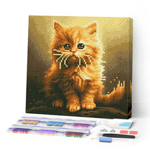 Load image into Gallery viewer, Mini Diamond Painting 10"x10" - Fluffy Orange Kitten Figured'Art USA