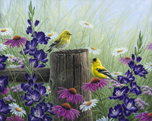 Load image into Gallery viewer, Paint by numbers Goldfinch Birds Figured'Art new arrivals, intermediate, animals, birds, flowers