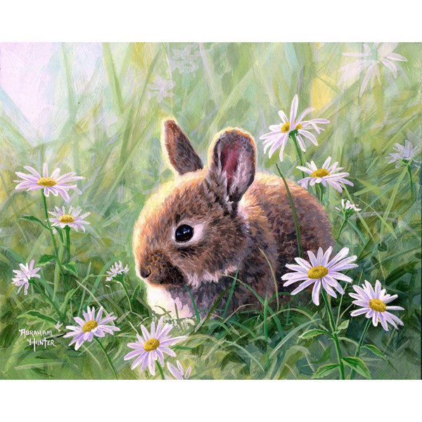 Paint by numbers Rabbit and Oxeye daisy Figured'Art new arrivals, intermediate, animals, rabbits