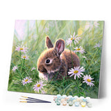 Paint by numbers Rabbit and Oxeye daisy Figured'Art new arrivals, intermediate, animals, rabbits
