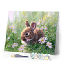 Paint by numbers Rabbit and Oxeye daisy Figured'Art new arrivals, intermediate, animals, rabbits