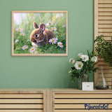 Paint by numbers Rabbit and Oxeye daisy Figured'Art new arrivals, intermediate, animals, rabbits