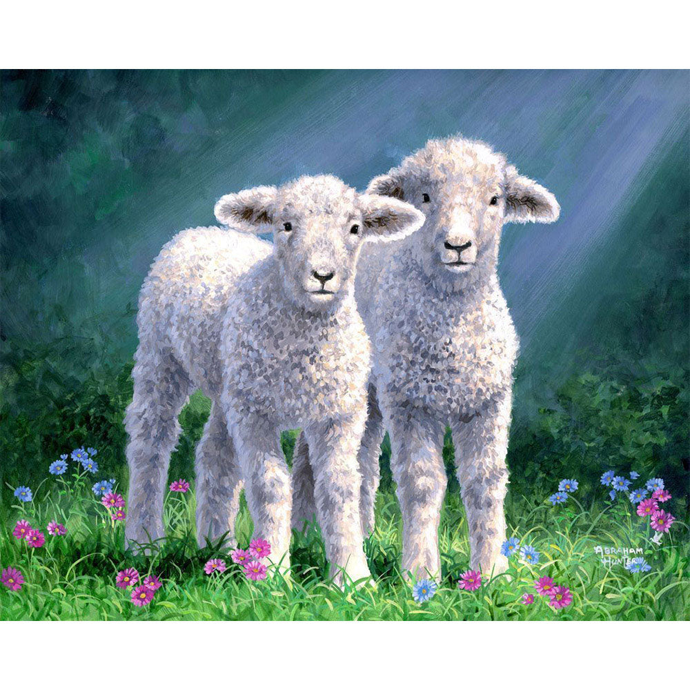 Paint by numbers Sheep Figured'Art new arrivals, intermediate, animals, sheep