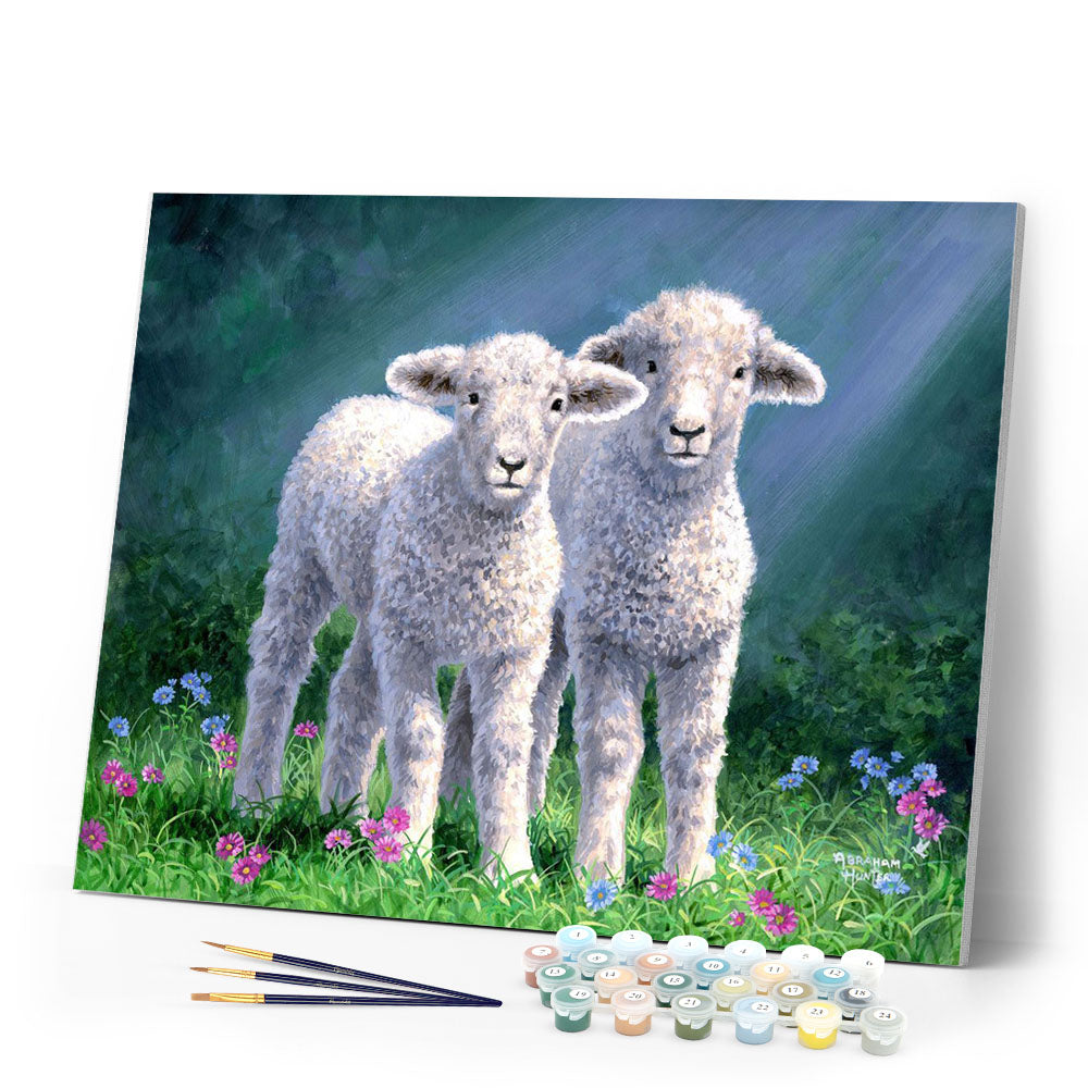 Paint by numbers Sheep Figured'Art new arrivals, intermediate, animals, sheep