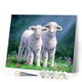 Paint by numbers Sheep Figured'Art new arrivals, intermediate, animals, sheep