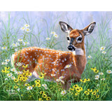 Paint by numbers Doe in the meadow Figured'Art new arrivals, intermediate, animals, deer