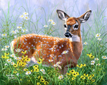 Load image into Gallery viewer, Paint by numbers Doe in the meadow Figured'Art new arrivals, intermediate, animals, deer