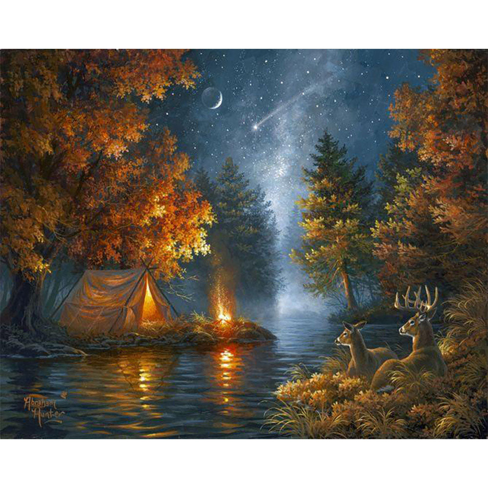 Camping under a Starry Night