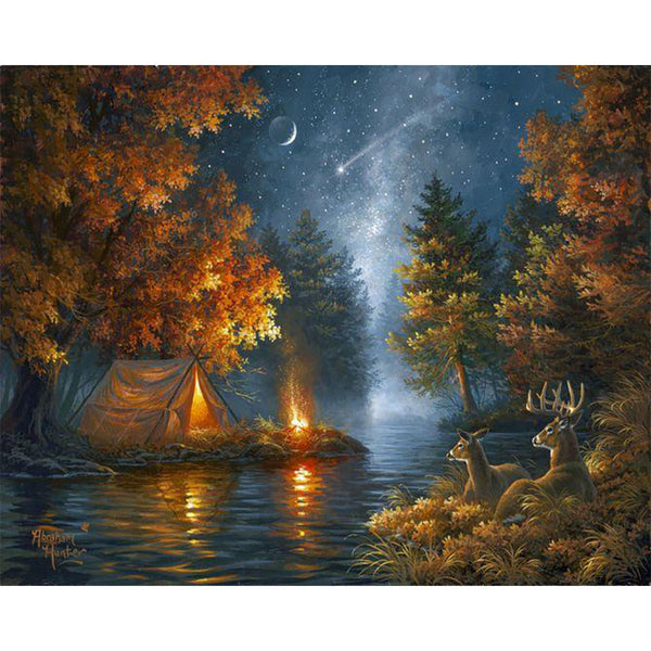 Camping under a Starry Night