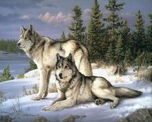Load image into Gallery viewer, Paint by numbers Wolves Couple Figured'Art new arrivals, advanced, animals, wolves