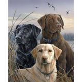 Paint by numbers Labrador Trio Figured'Art new arrivals, intermediate, animals, dogs