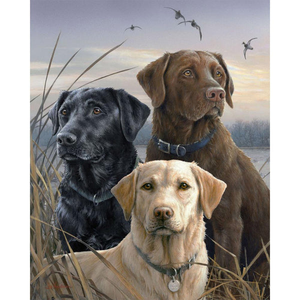 Paint by numbers Labrador Trio Figured'Art new arrivals, intermediate, animals, dogs