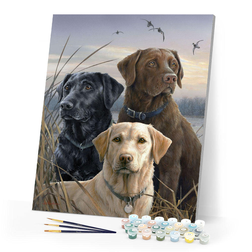 Paint by numbers Labrador Trio Figured'Art new arrivals, intermediate, animals, dogs
