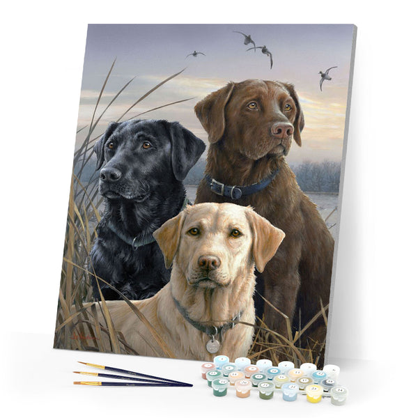 Paint by numbers Labrador Trio Figured'Art new arrivals, intermediate, animals, dogs