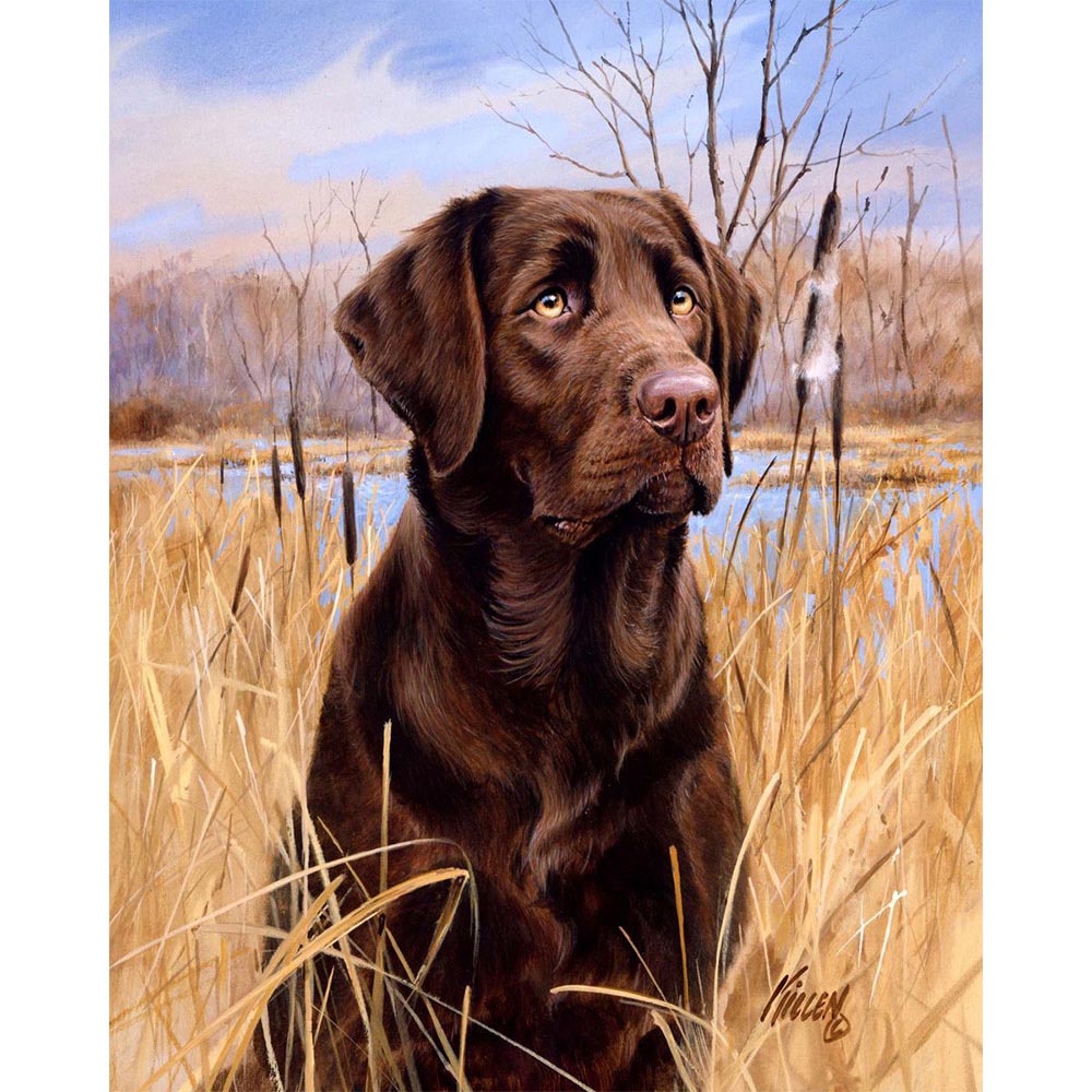 Paint by numbers Labrador Figured'Art new arrivals, advanced, animals, dogs