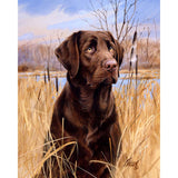Paint by numbers Labrador Figured'Art new arrivals, advanced, animals, dogs