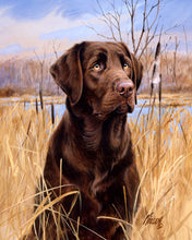 Load image into Gallery viewer, Paint by numbers Labrador Figured'Art new arrivals, advanced, animals, dogs