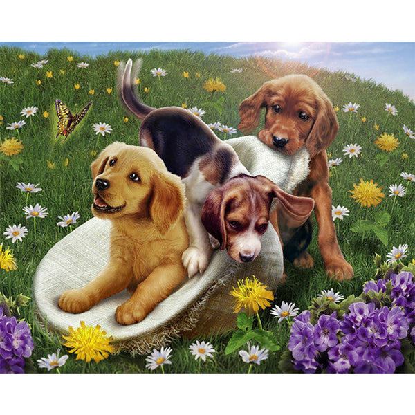 Paint by numbers | Games with friends | animals dogs flowers intermediate new arrivals | Figured'Art
