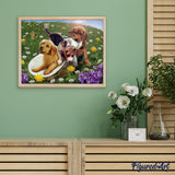 Paint by numbers | Games with friends | animals dogs flowers intermediate new arrivals | Figured'Art