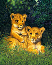 Load image into Gallery viewer, Paint by numbers | Lion cubs | animals advanced lions new arrivals | Figured'Art